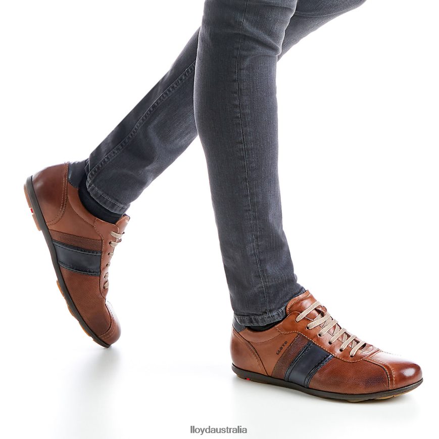 LLOYD Men BARETT brown Shoes H6PTLF354