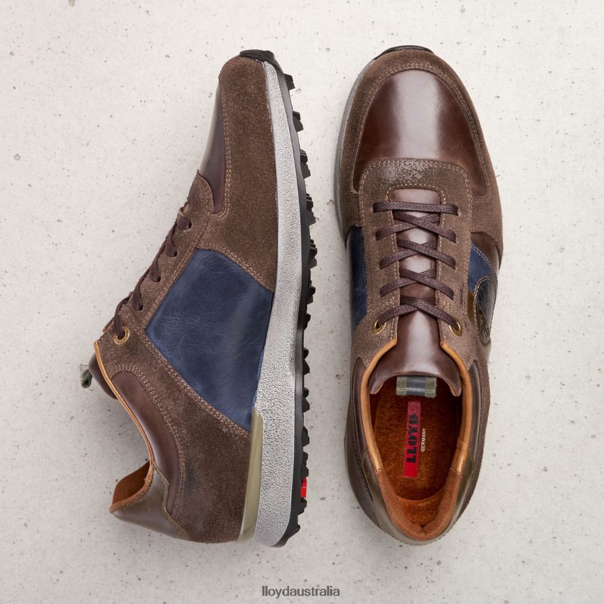 LLOYD Men BELLINGHAM brown Shoes H6PTLF377
