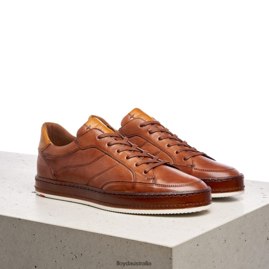 LLOYD Men BLACKBURN brown Shoes H6PTLF440