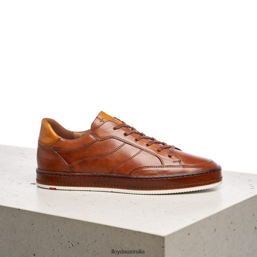 LLOYD Men BLACKBURN brown Shoes H6PTLF440