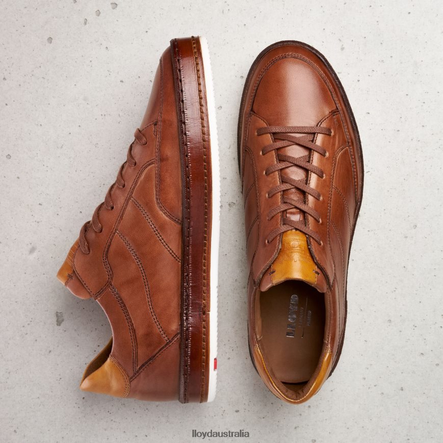 LLOYD Men BLACKBURN brown Shoes H6PTLF440