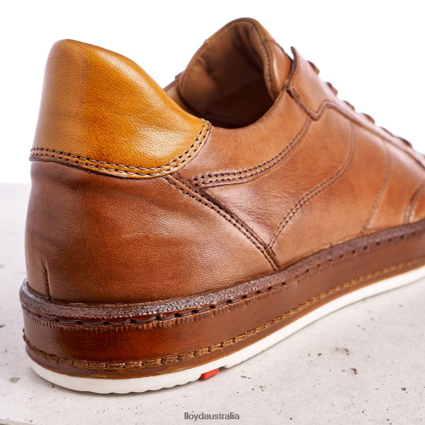 LLOYD Men BLACKBURN brown Shoes H6PTLF440