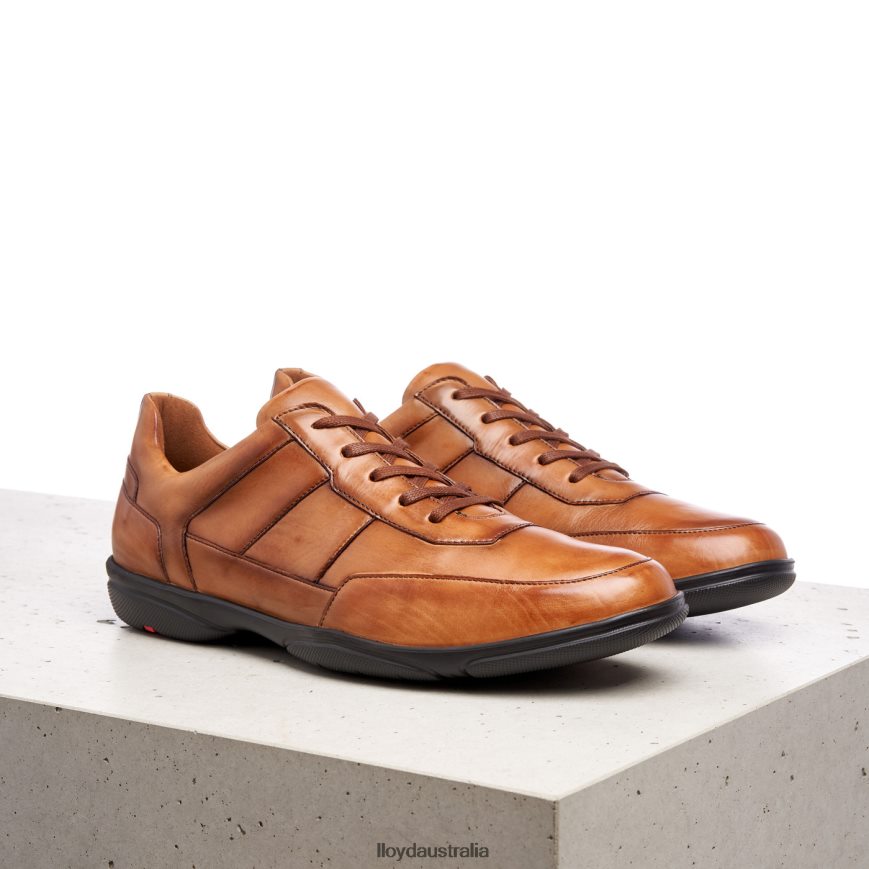 LLOYD Men BLOY brown Shoes H6PTLF375