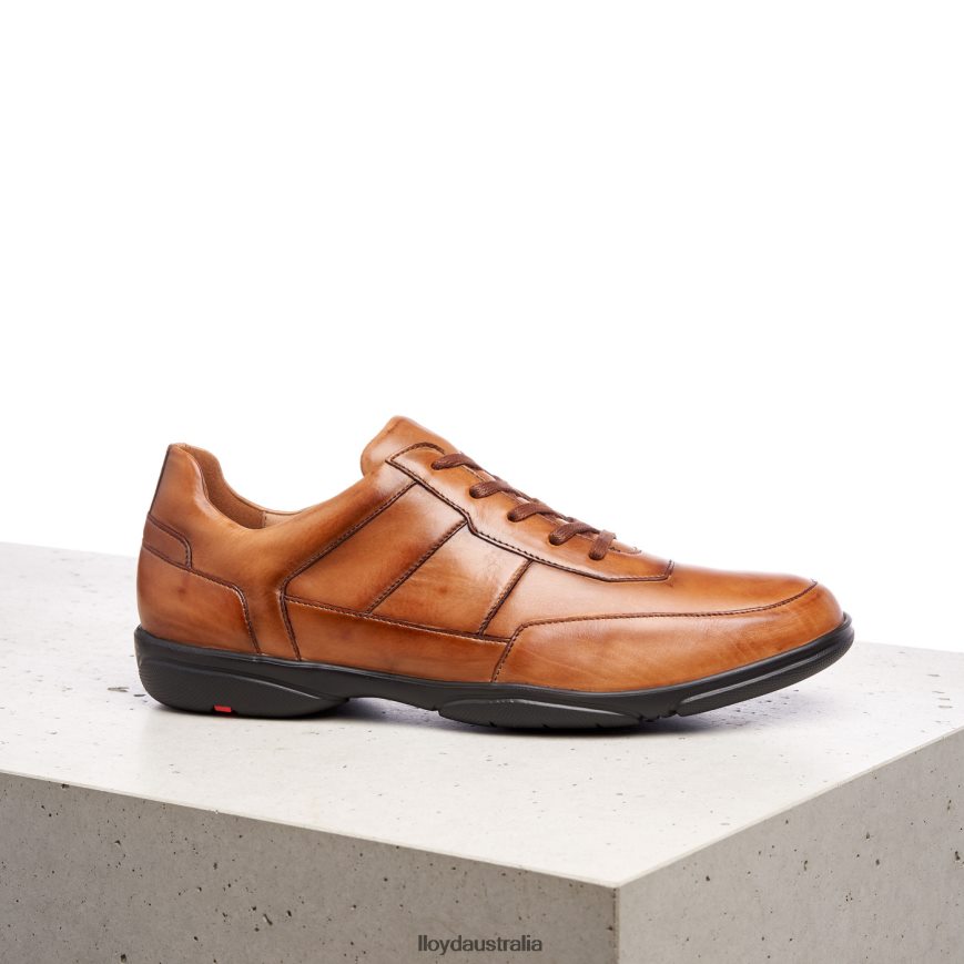LLOYD Men BLOY brown Shoes H6PTLF375