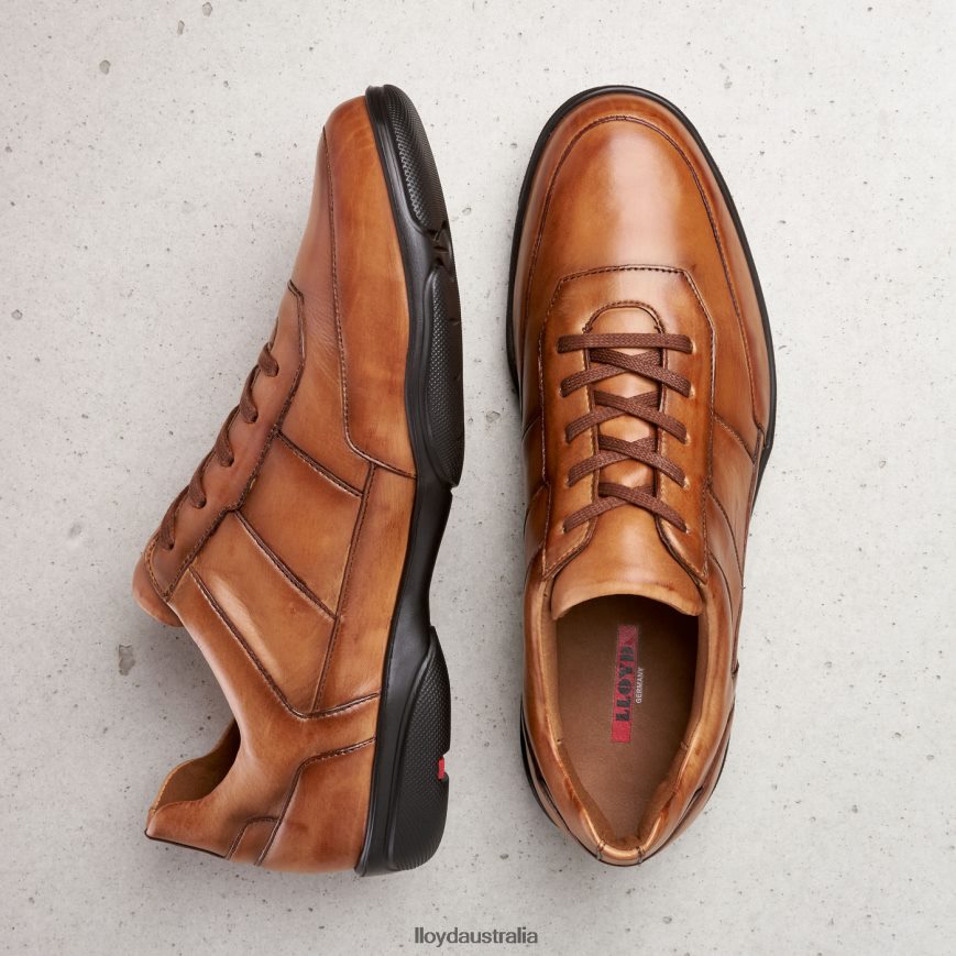 LLOYD Men BLOY brown Shoes H6PTLF375