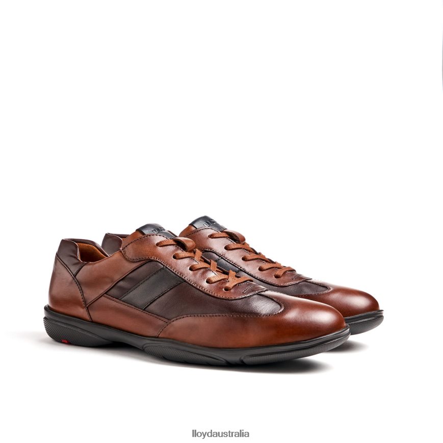 LLOYD Men BREVIS brown Shoes H6PTLF418