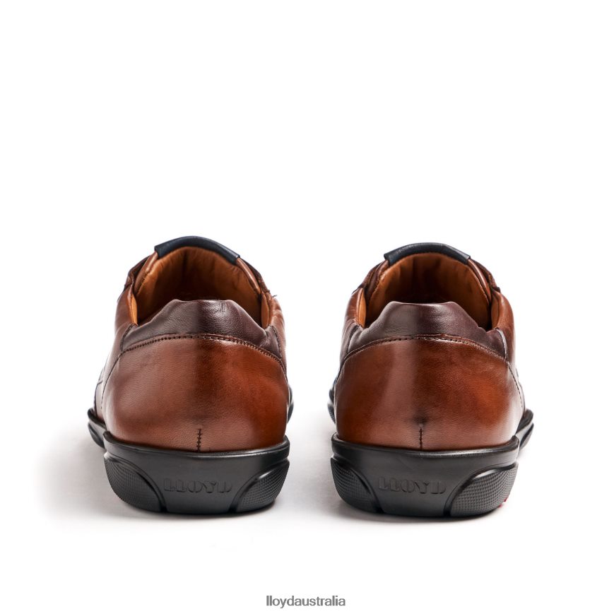 LLOYD Men BREVIS brown Shoes H6PTLF418