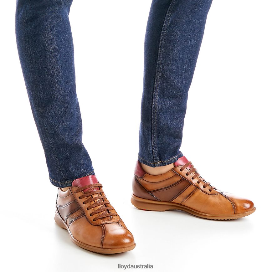 LLOYD Men DAVOS brown Shoes H6PTLF308