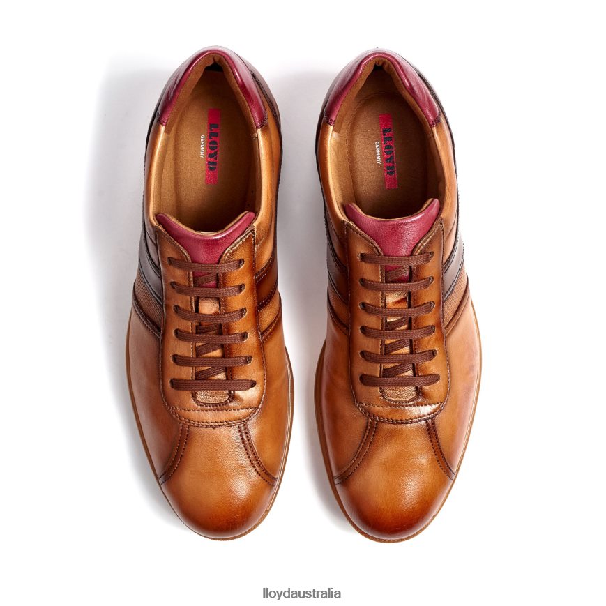 LLOYD Men DAVOS brown Shoes H6PTLF308
