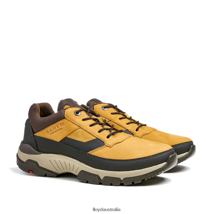 LLOYD Men EBE brown Shoes H6PTLF295