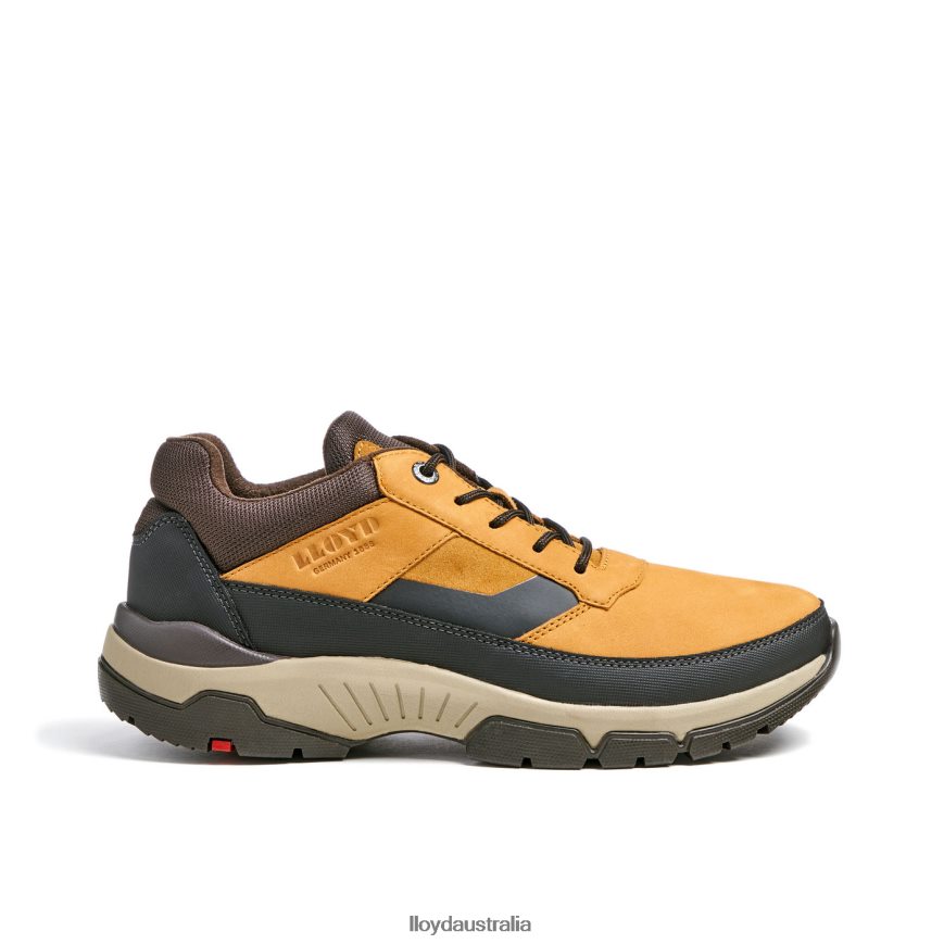 LLOYD Men EBE brown Shoes H6PTLF295