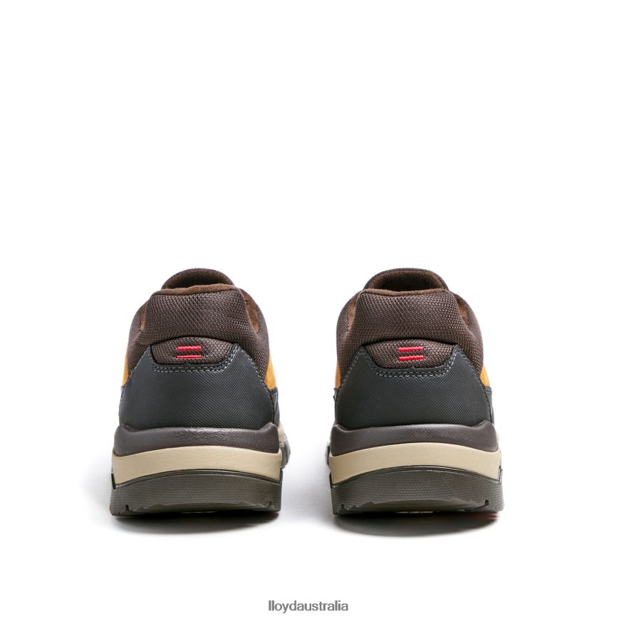 LLOYD Men EBE brown Shoes H6PTLF295