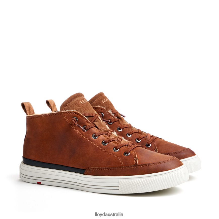 LLOYD Men EDWARD brown Shoes H6PTLF298