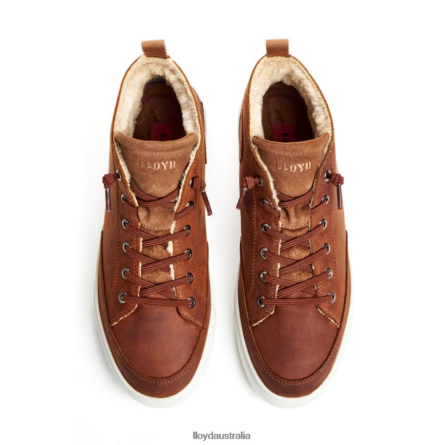 LLOYD Men EDWARD brown Shoes H6PTLF298
