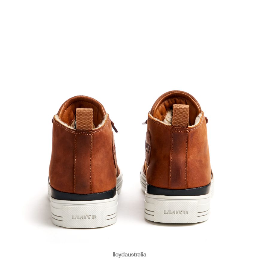 LLOYD Men EDWARD brown Shoes H6PTLF298