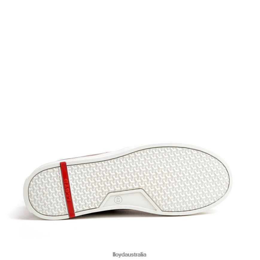 LLOYD Men EDWARD brown Shoes H6PTLF298