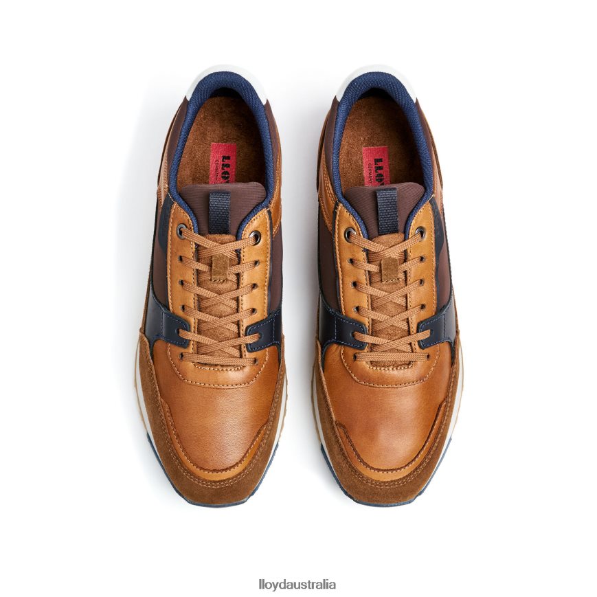 LLOYD Men EIRON brown Shoes H6PTLF293