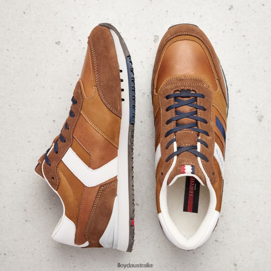 LLOYD Men ELIO brown Shoes H6PTLF381