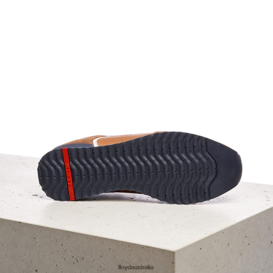 LLOYD Men ELJA brown Shoes H6PTLF373