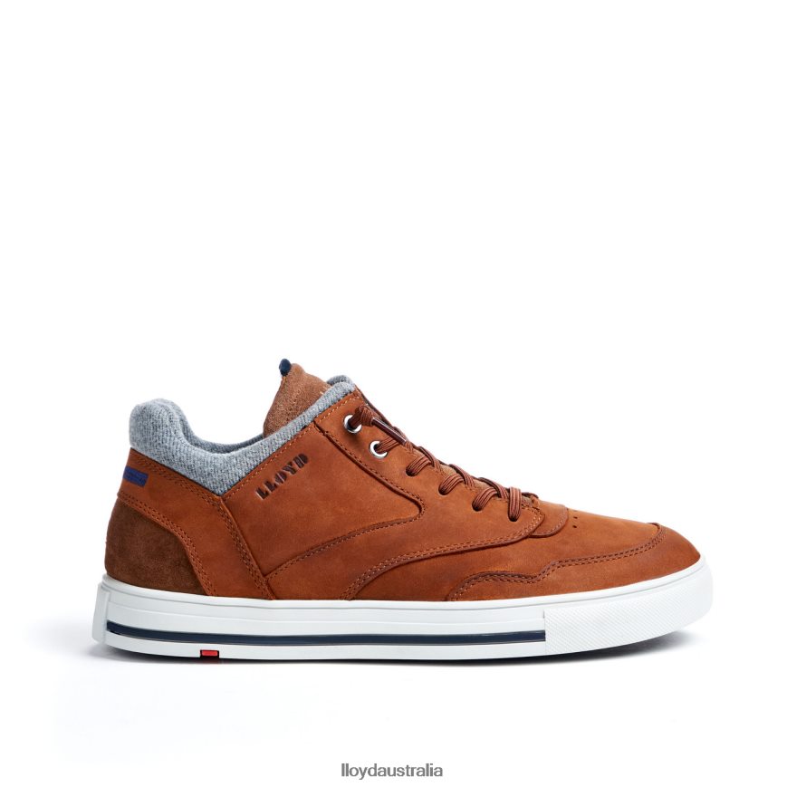 LLOYD Men ELLISON brown Shoes H6PTLF316