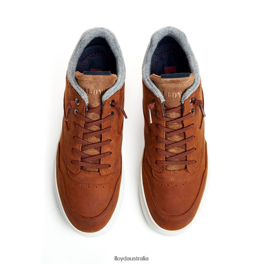 LLOYD Men ELLISON brown Shoes H6PTLF316