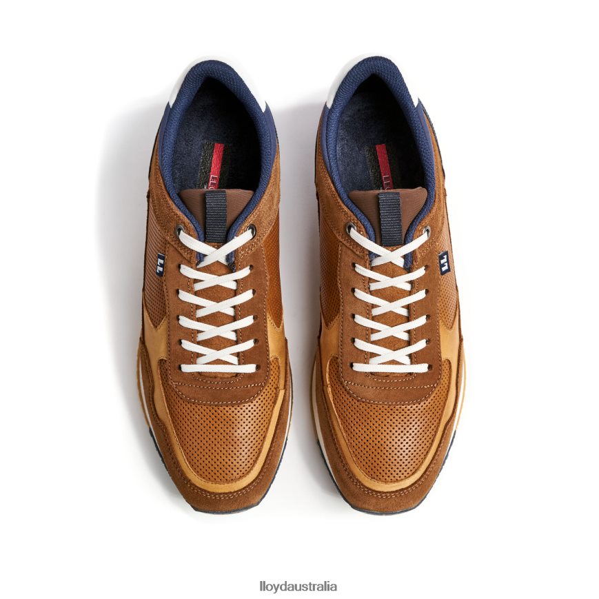 LLOYD Men EMILIAN brown Shoes H6PTLF282