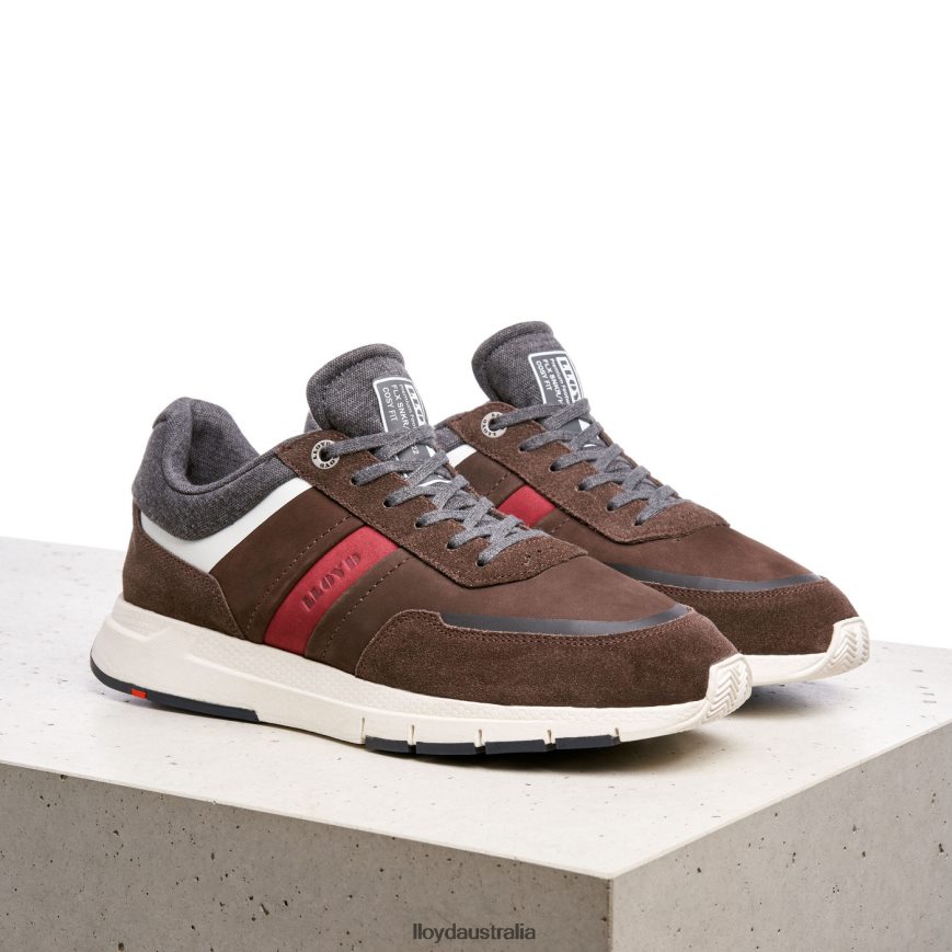 LLOYD Men ENNIO brown Shoes H6PTLF352