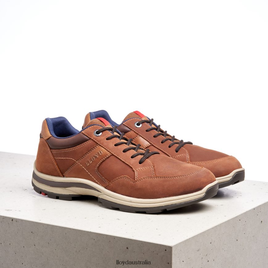 LLOYD Men ENSOR brown Shoes H6PTLF394