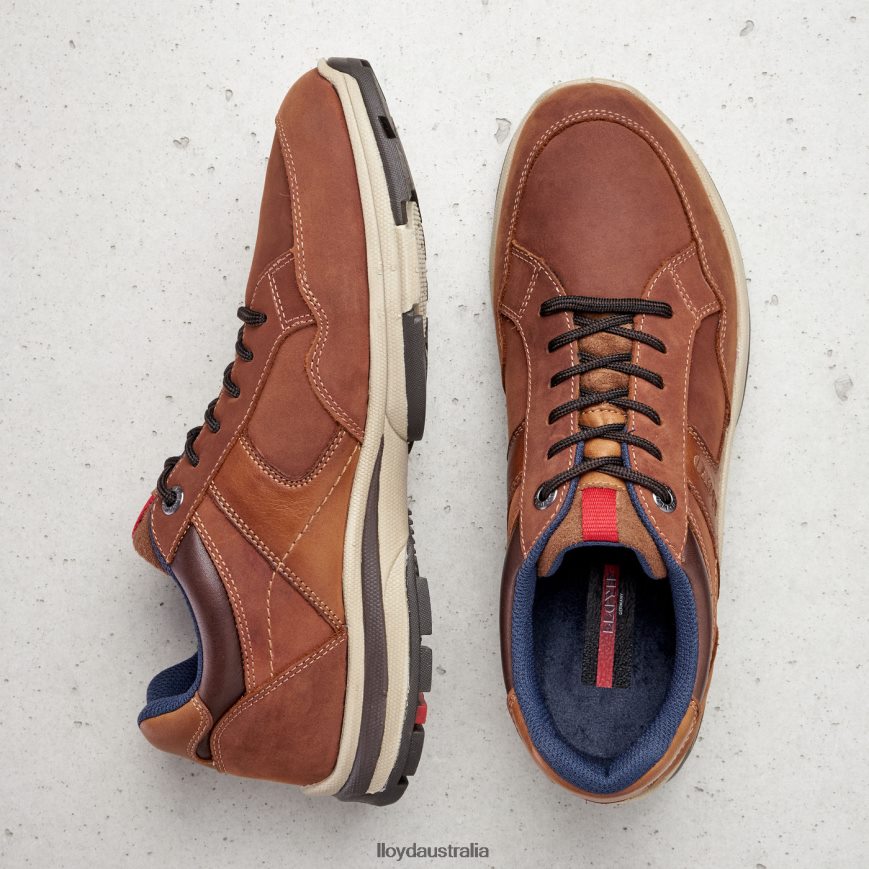 LLOYD Men ENSOR brown Shoes H6PTLF394