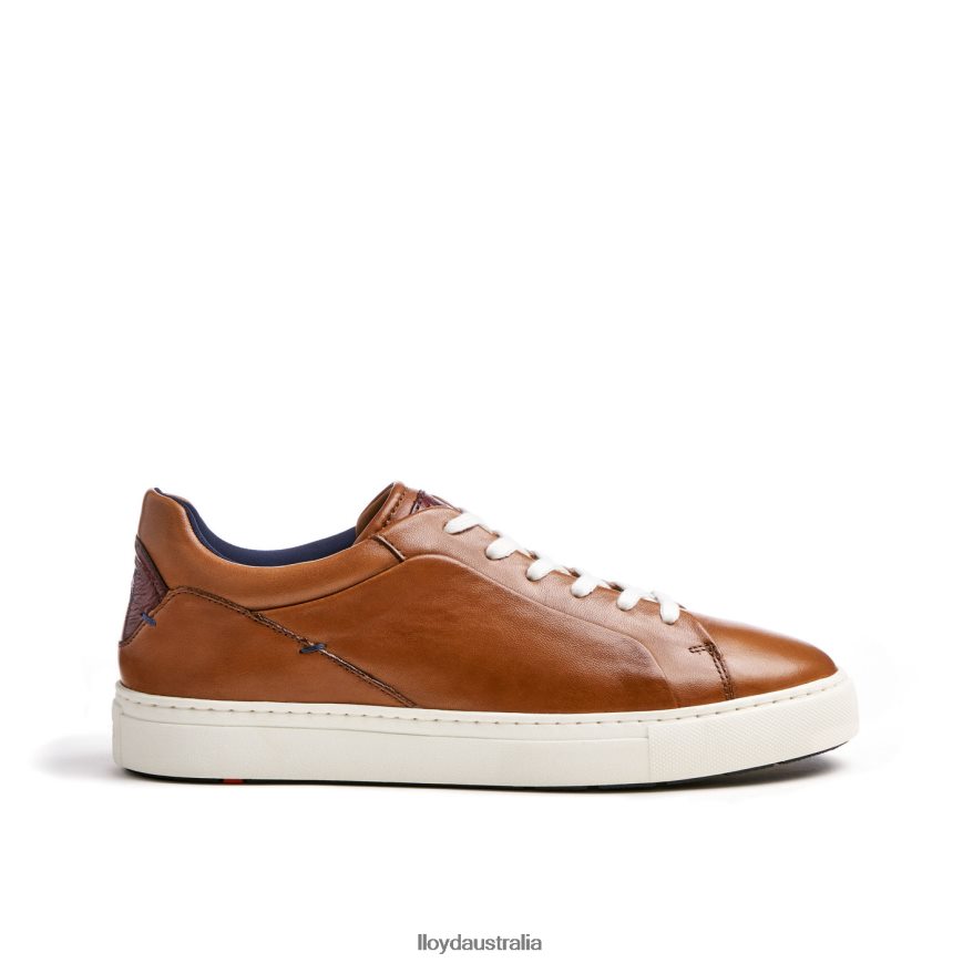 LLOYD Men MAJURO brown Shoes H6PTLF258