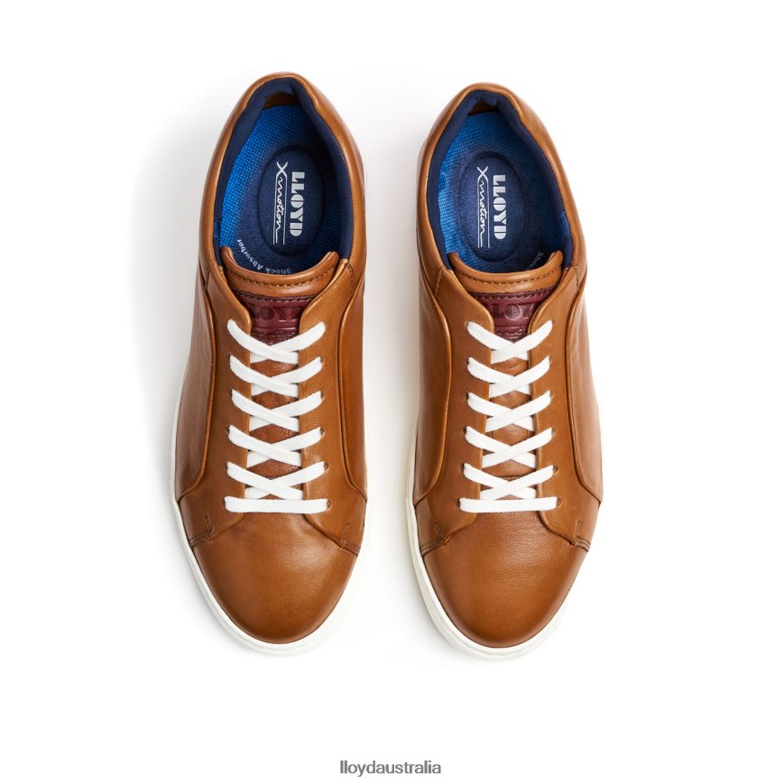 LLOYD Men MAJURO brown Shoes H6PTLF258