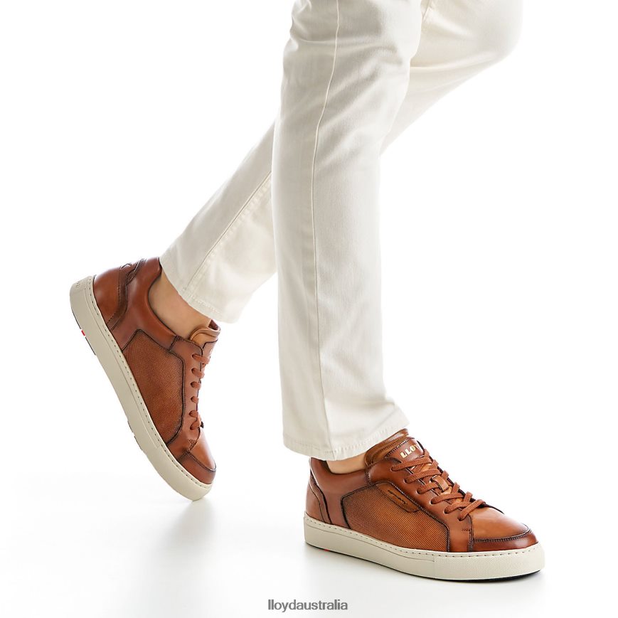LLOYD Men MALAGA brown Shoes H6PTLF1327