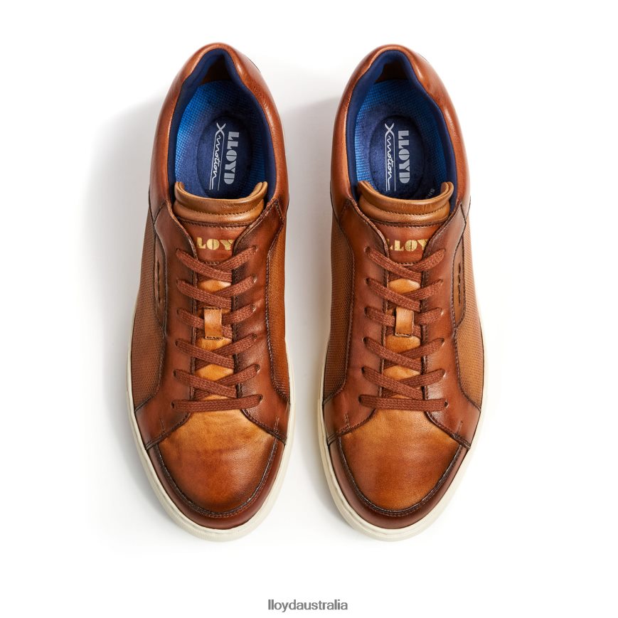 LLOYD Men MALAGA brown Shoes H6PTLF1327