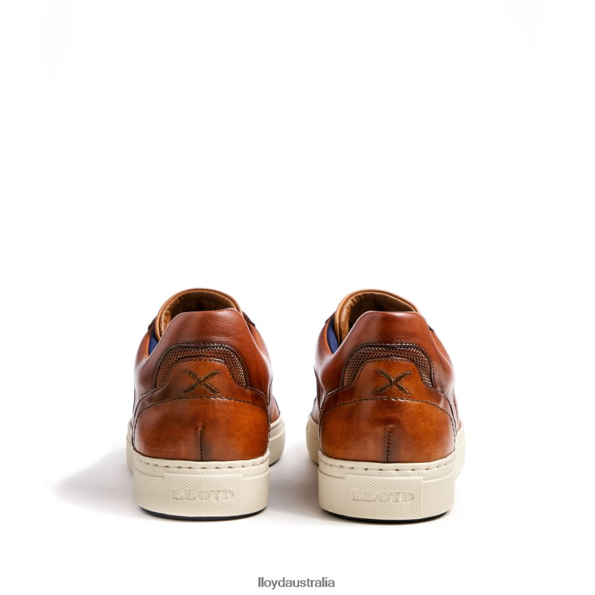 LLOYD Men MALAGA brown Shoes H6PTLF1327