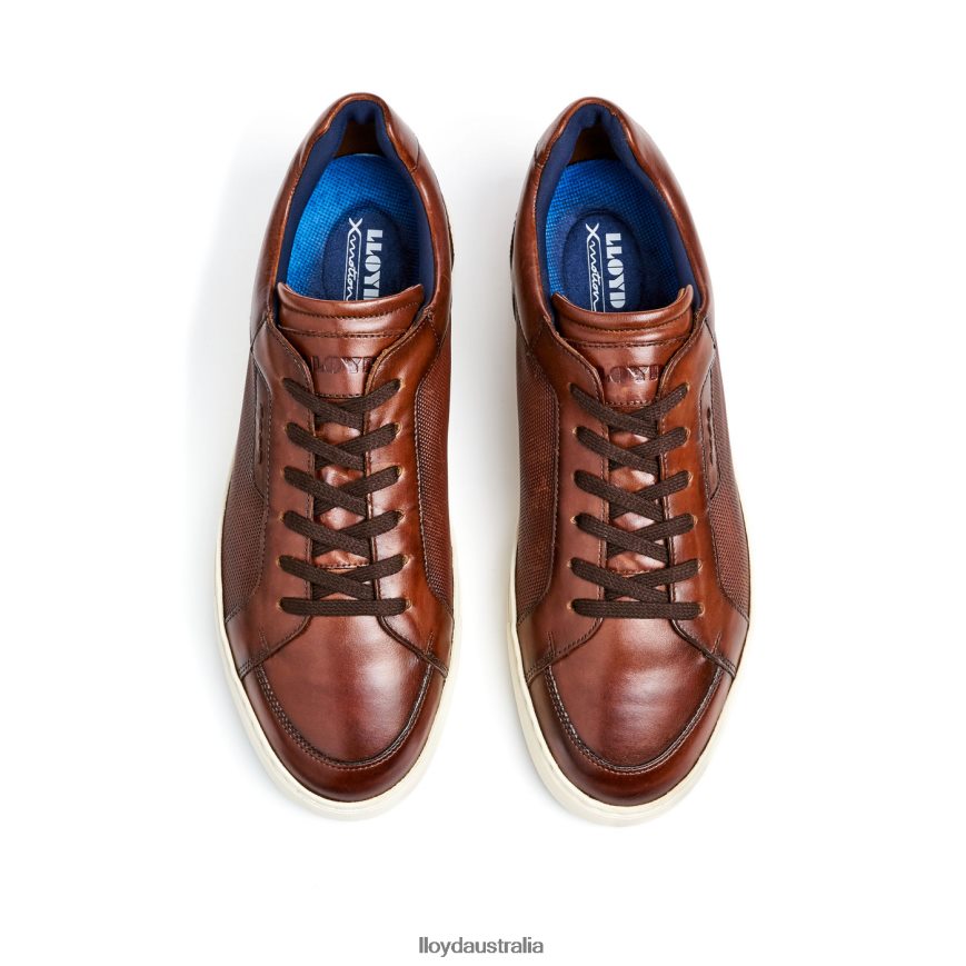 LLOYD Men MALAGA brown Shoes H6PTLF249