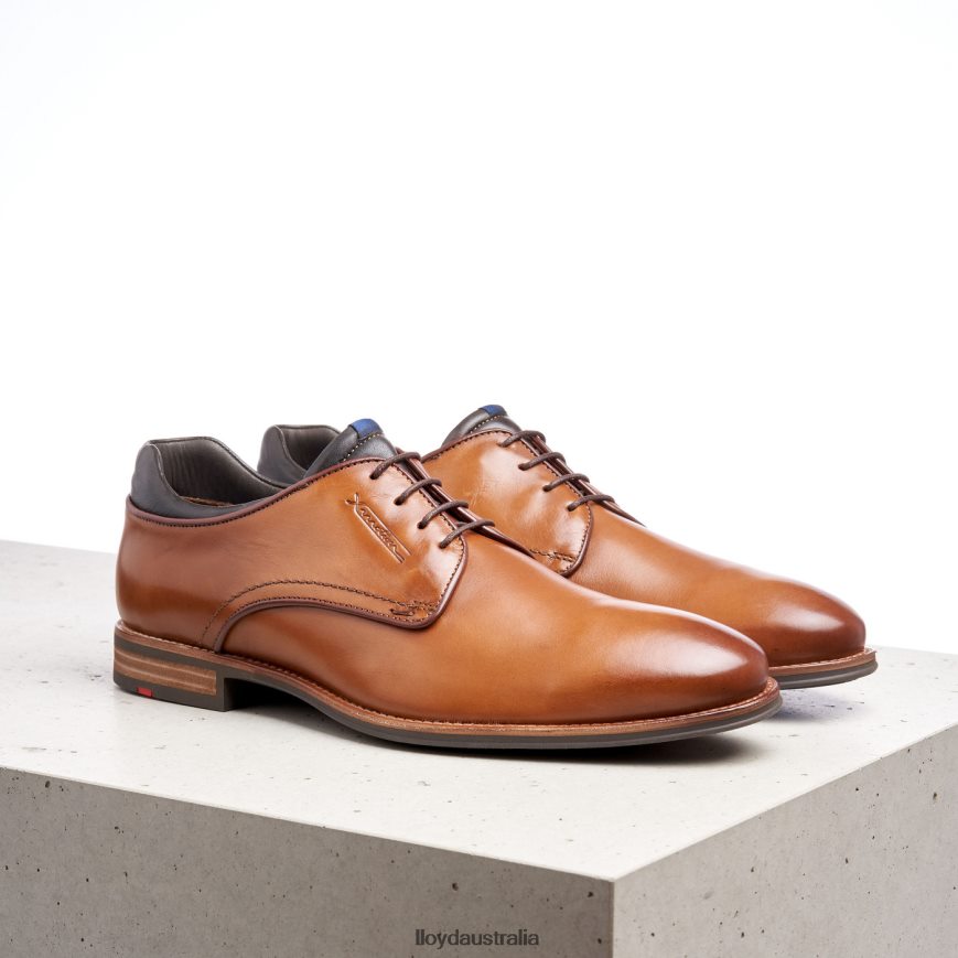 LLOYD Men MASSIMO brown Shoes H6PTLF201