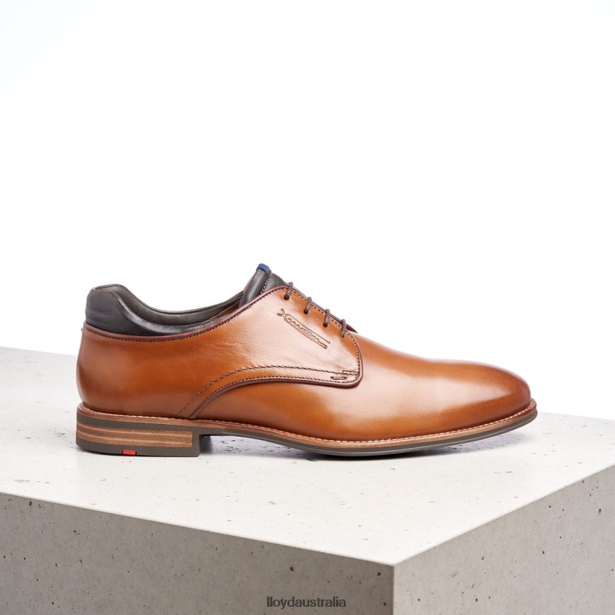 LLOYD Men MASSIMO brown Shoes H6PTLF201