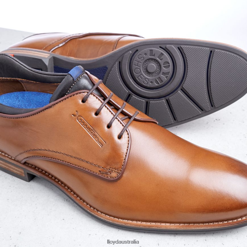 LLOYD Men MASSIMO brown Shoes H6PTLF201