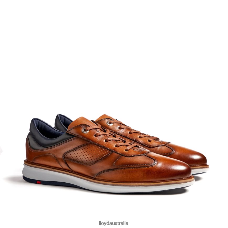 LLOYD Men MAXIM brown Shoes H6PTLF250