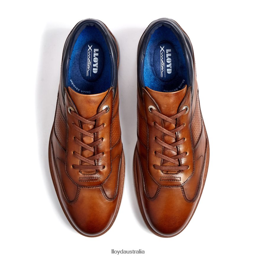 LLOYD Men MAXIM brown Shoes H6PTLF250