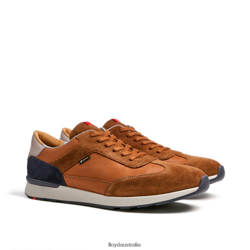 LLOYD Men VEDEA brown Shoes H6PTLF322