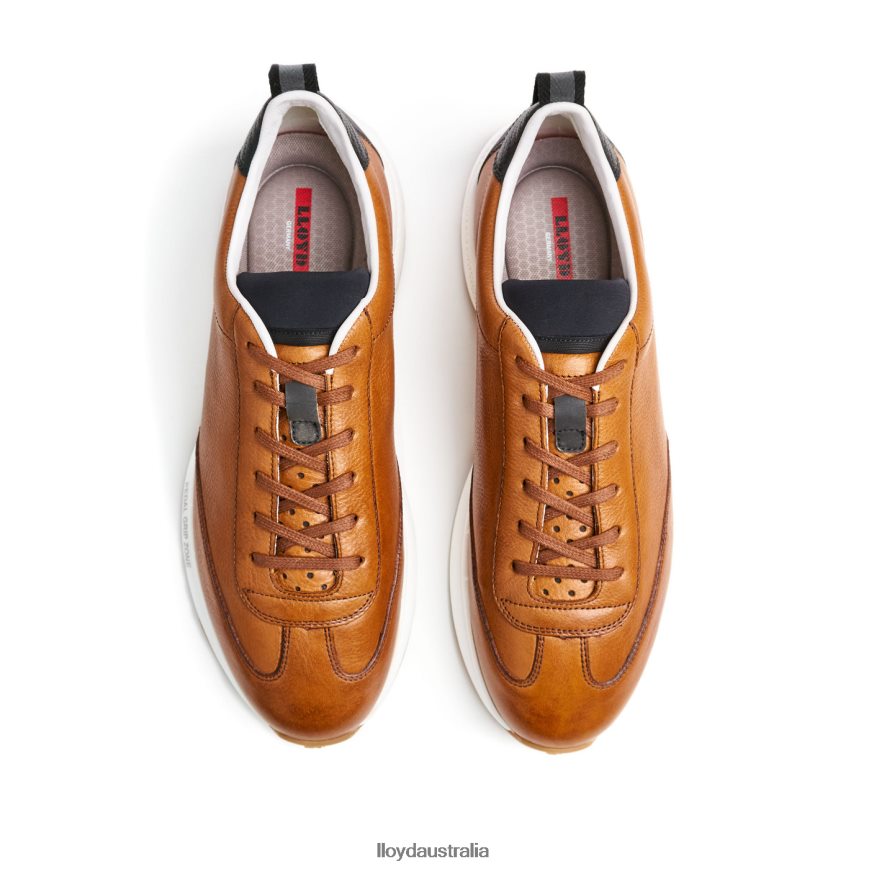 LLOYD Men VELO 6 brown Shoes H6PTLF435