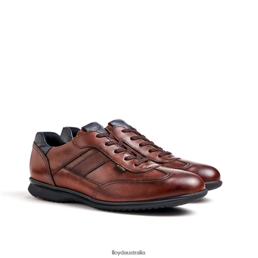 LLOYD Men VERNON brown Shoes H6PTLF136