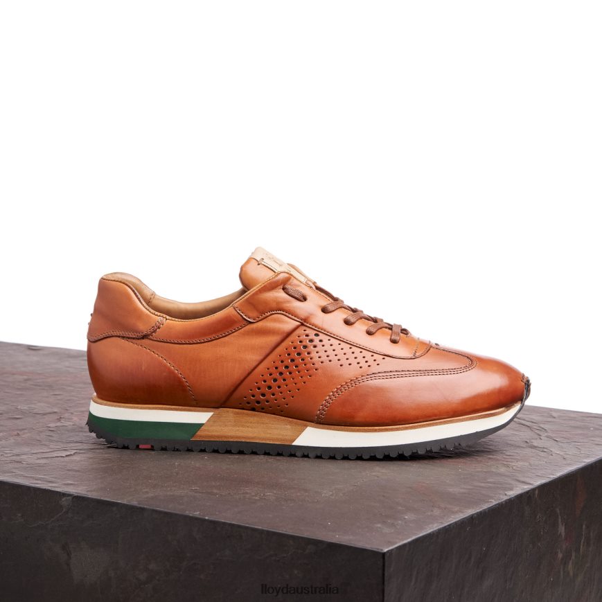 LLOYD Men WALCOTT brown Shoes H6PTLF180