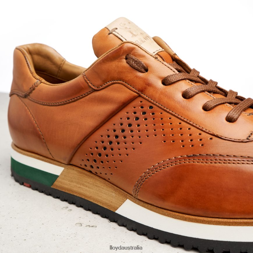 LLOYD Men WALCOTT brown Shoes H6PTLF180
