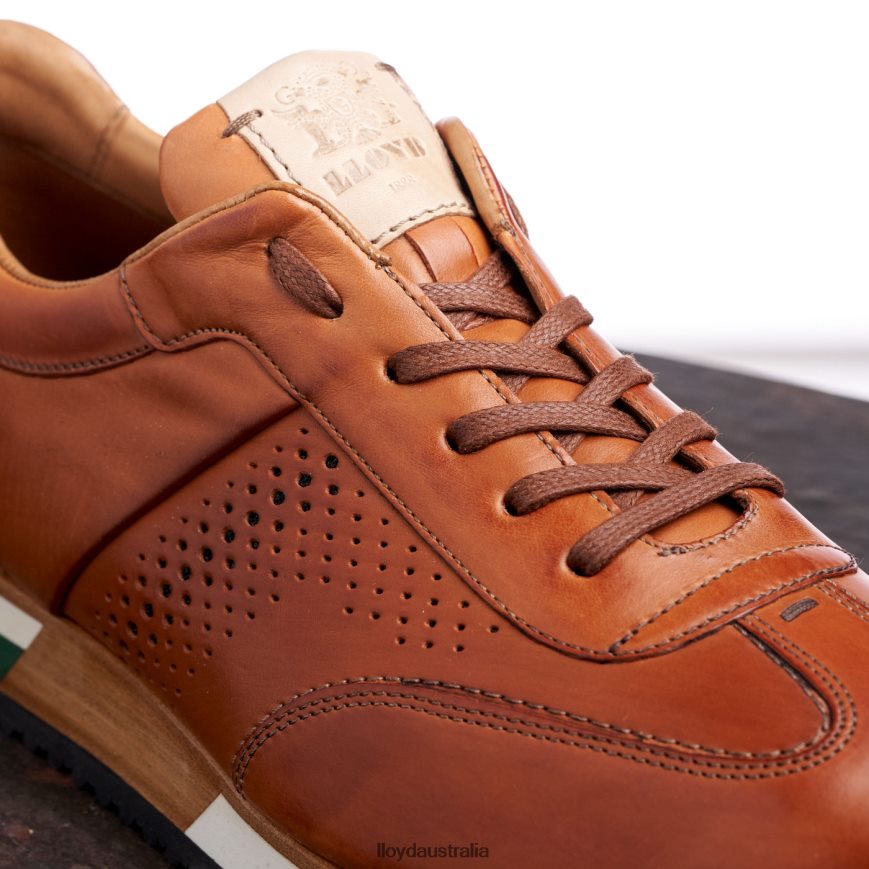 LLOYD Men WALCOTT brown Shoes H6PTLF180