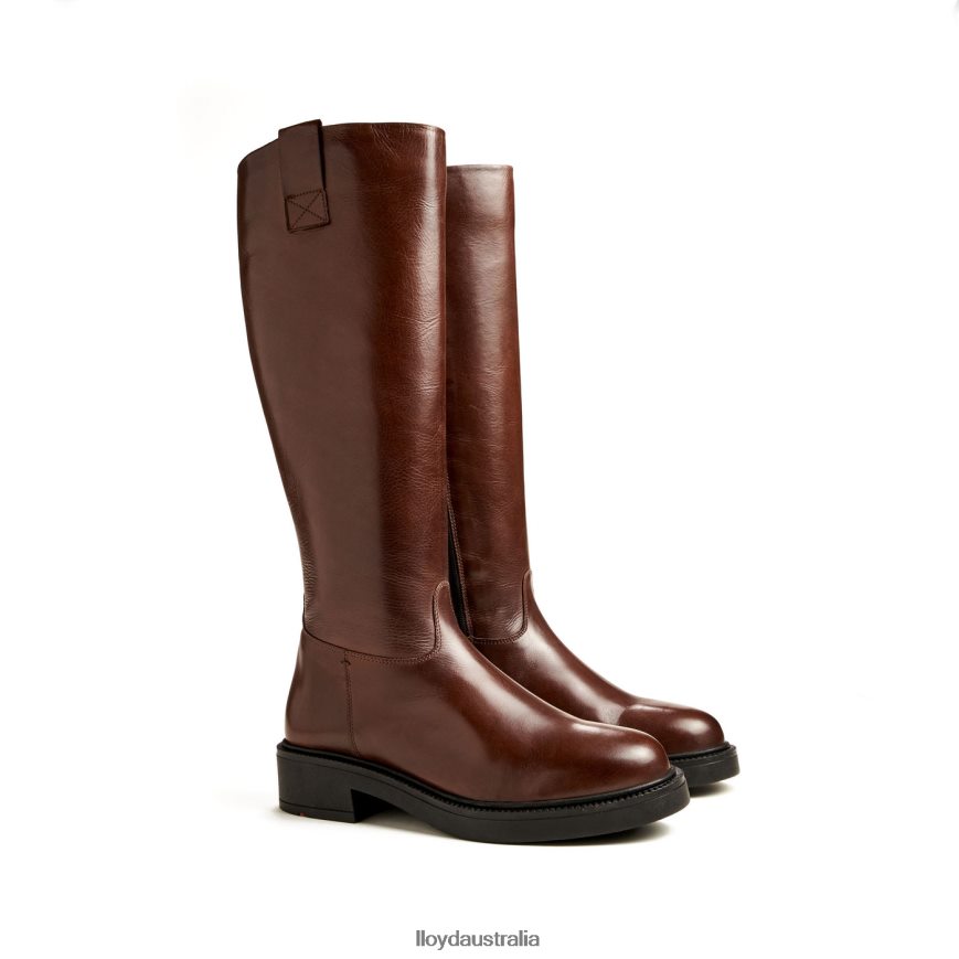 LLOYD Women BOOT brown Shoes H6PTLF1193