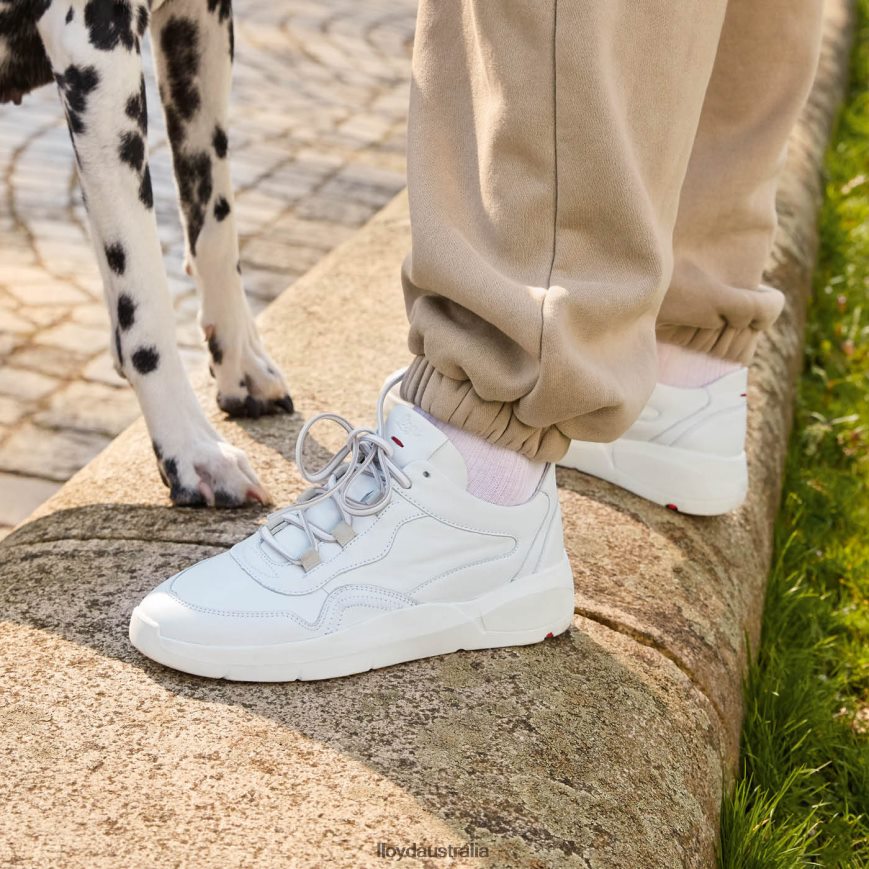 LLOYD Women LOW TOP LEATHER SNEAKERS white Shoes H6PTLF829