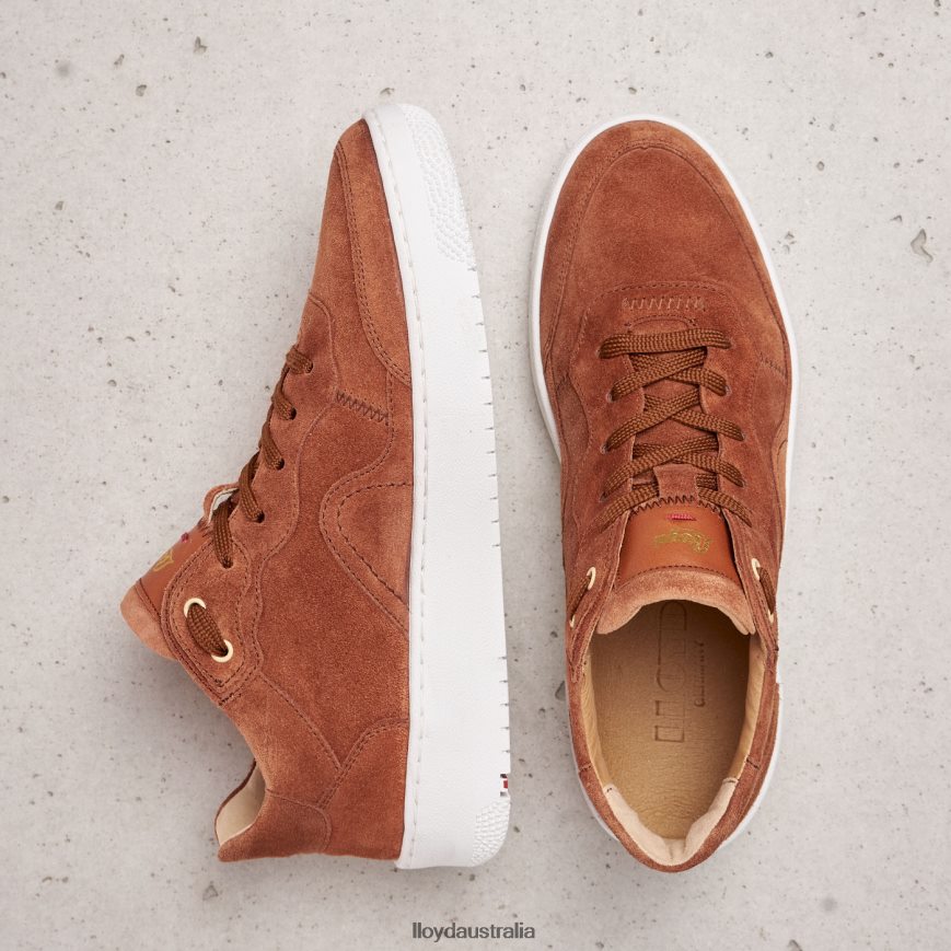 LLOYD Women SUEDE SNEAKERS brown Shoes H6PTLF819