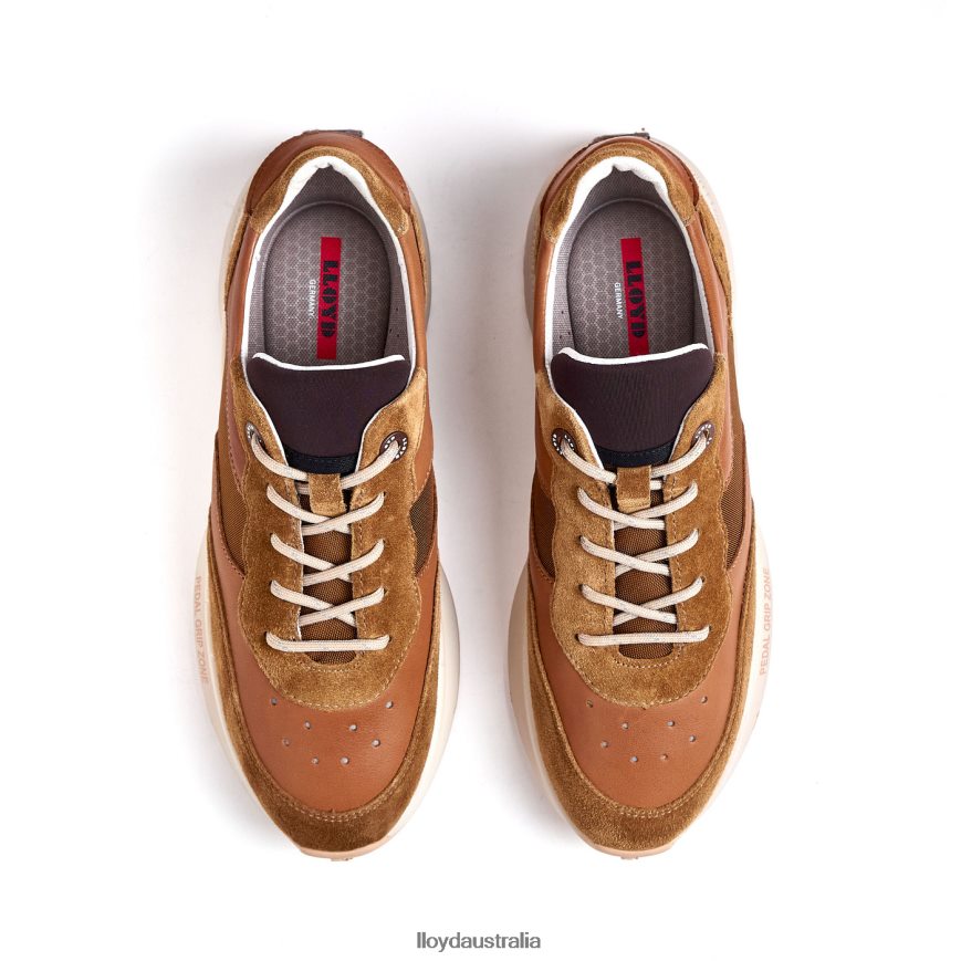 LLOYD Women VELO 2 brown Shoes H6PTLF796